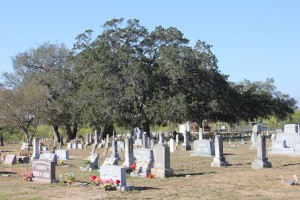 Jeffrey Cemetery - Old Oak Tree